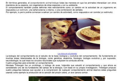 influencia del historial de vida en el comportamiento animal