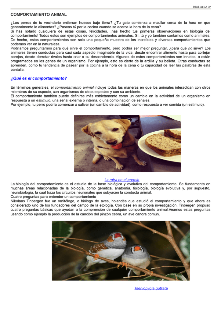influencia del historial de vida en el comportamiento animal