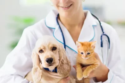 informacion legal sobre mi mascota que decir al veterinario