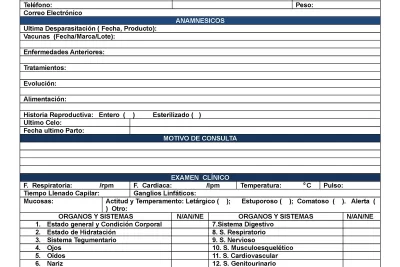 informacion necesaria para un historial veterinario completo