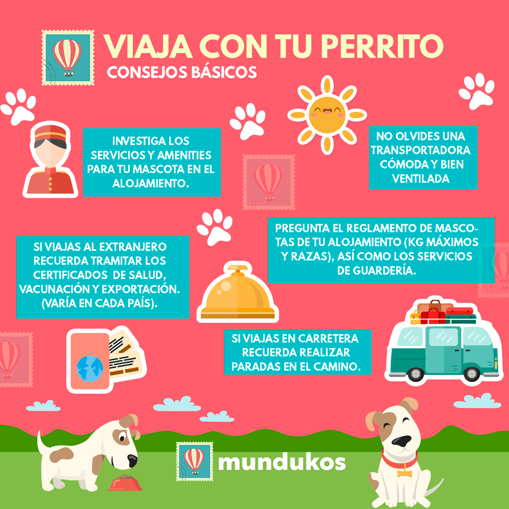 Ingreso y salida segura de mascotas en su alojamiento 1 ingreso y salida segura de mascotas en su alojamiento