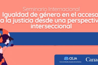 interseccionalidad en el sistema legal desafios y soluciones