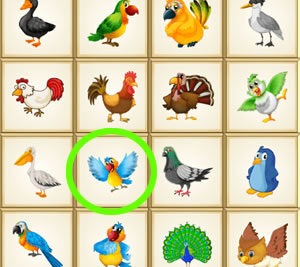 juegos interactivos divertidos y educativos para aves exoticas