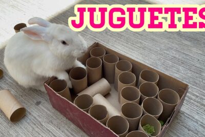 juguetes divertidos y sabrosos para conejos domesticos