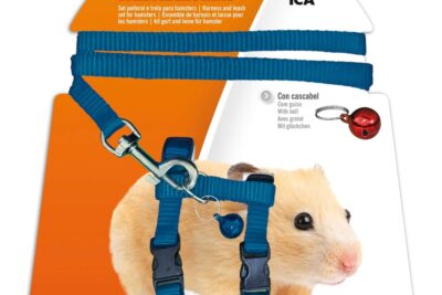 kits de carrera para hamsters diversion y ejercicio asegurado