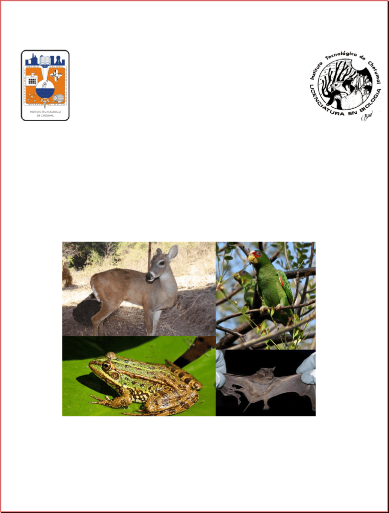 kits de caza especializados para reptiles exoticos guia
