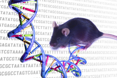 la genetica en el diagnostico de enfermedades en mamiferos