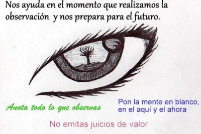la importancia de la observacion diaria en nuestra vida diaria