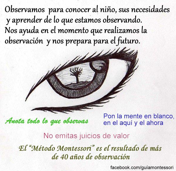 la importancia de la observacion diaria en nuestra vida diaria