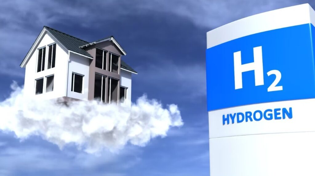 la llegada al nuevo hogar