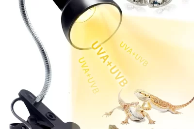 la necesidad de luz especial para tortugas acuaticas en casa