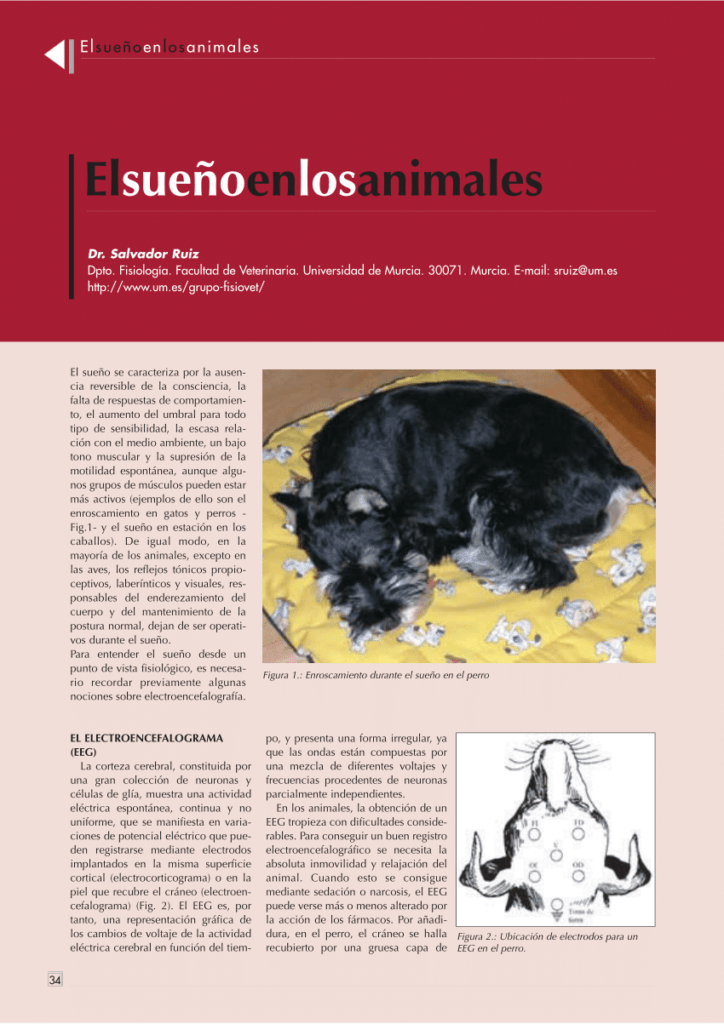 la relacion entre el estres y el sueno en animales