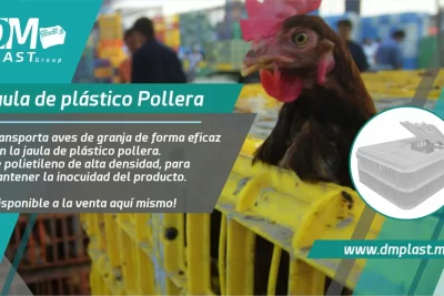 las mejores aves para transportar de forma segura y comoda