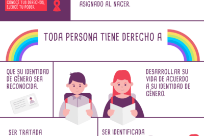 ley de igualdad de genero disposiciones clave y su impacto