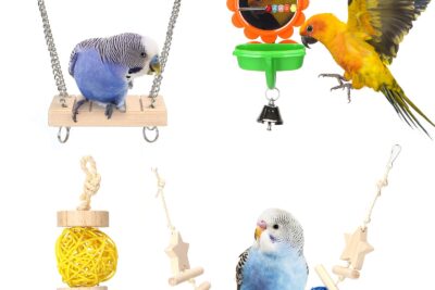 los mejores juguetes de cuerda para aves diversion asegurada