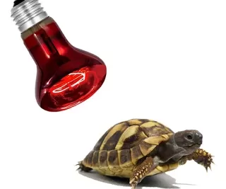 luces vintage seguras para el bienestar de los reptiles