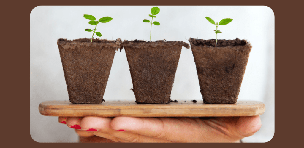 masculinidad ecologia y sostenibilidad una conexion vital