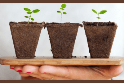 masculinidad ecologia y sostenibilidad una conexion vital