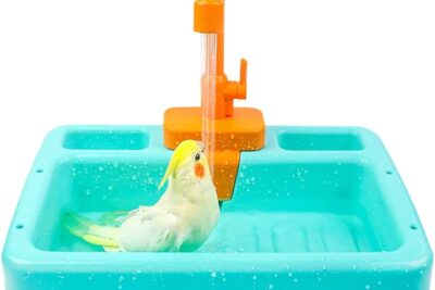 mejores accesorios para el cuidado del bano de aves