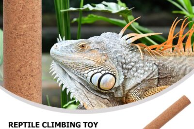 mejores juguetes de escalar para reptiles curiosos y activos