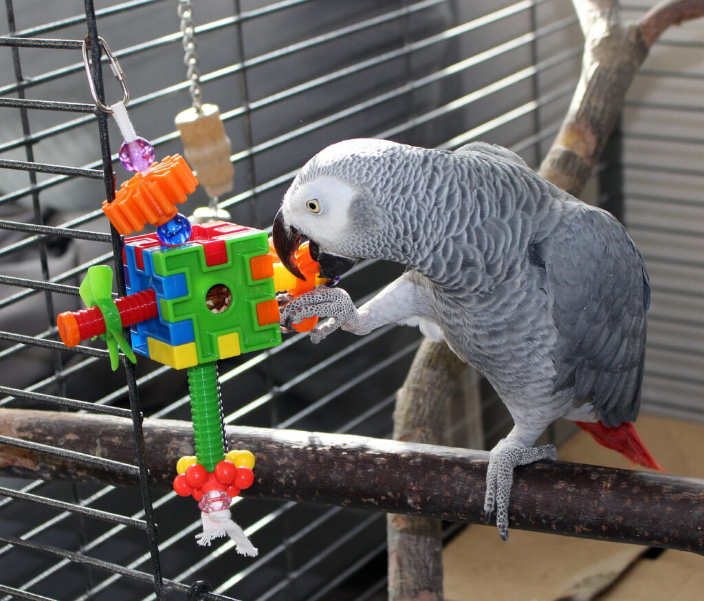 mejores juguetes interactivos para aves diversion y estimulacion