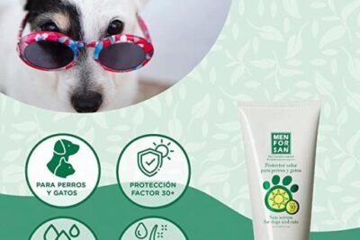 mejores protectores de piel para gatos cuidados y beneficios