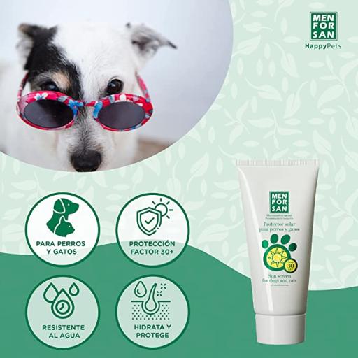 mejores protectores de piel para gatos cuidados y beneficios