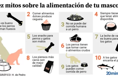 mitos sobre la alimentacion de animales exoticos verdadero o falso