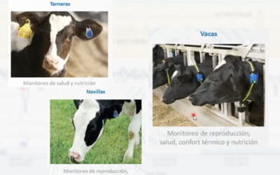 monitoreo del comportamiento de crias cuando y por que hacerlo