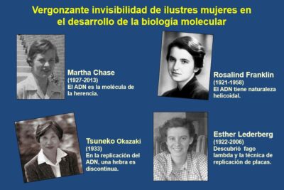 mujeres mas citadas en estudios de genero quienes son