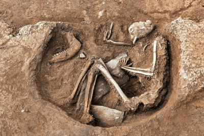 mujeres y su impacto en la arqueologia a lo largo de la historia