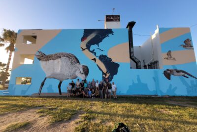 mural interactivo para enriquecer el medio ambiente de aves