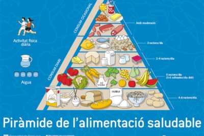 necesidades nutricionales en el transporte que se requiere