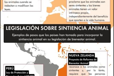 normativas del transporte de animales exoticos en distintos paises