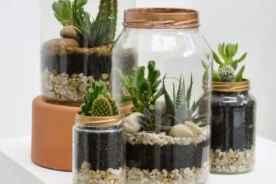 nuevas tendencias futuras en el diseno de terrarios