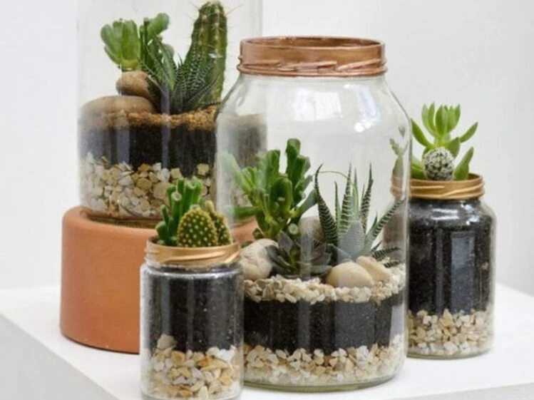 nuevas tendencias futuras en el diseno de terrarios