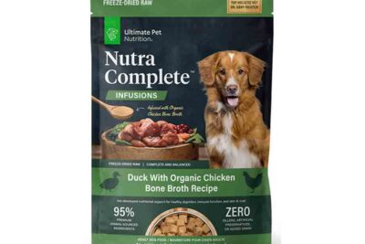 ofertas en tiendas de alimentacion para mascotas exoticas