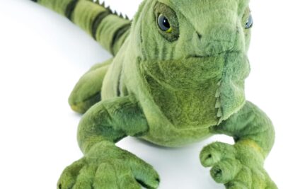 osos de peluche para iguanas innovadora idea de acariciar reptiles