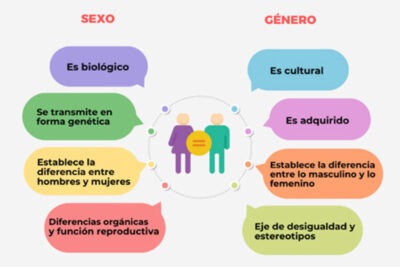 pasos en educacion para promover la representacion de genero