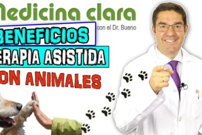 peliculas y videos terapia efectiva para el bienestar animal