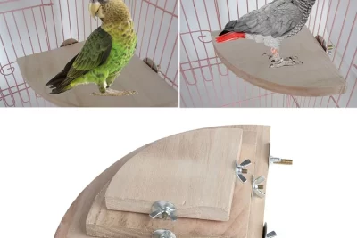 plataformas para pajaros tipos y beneficios recomendados