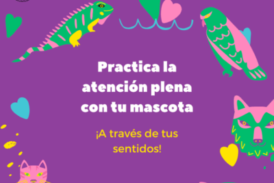 practicas de atencion plena que mejoran la socializacion de mascotas