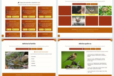 preferencias de juego en diversas especies de aves