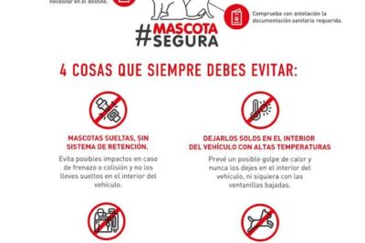 productos que debes evitar al transportar mascotas consejos clave