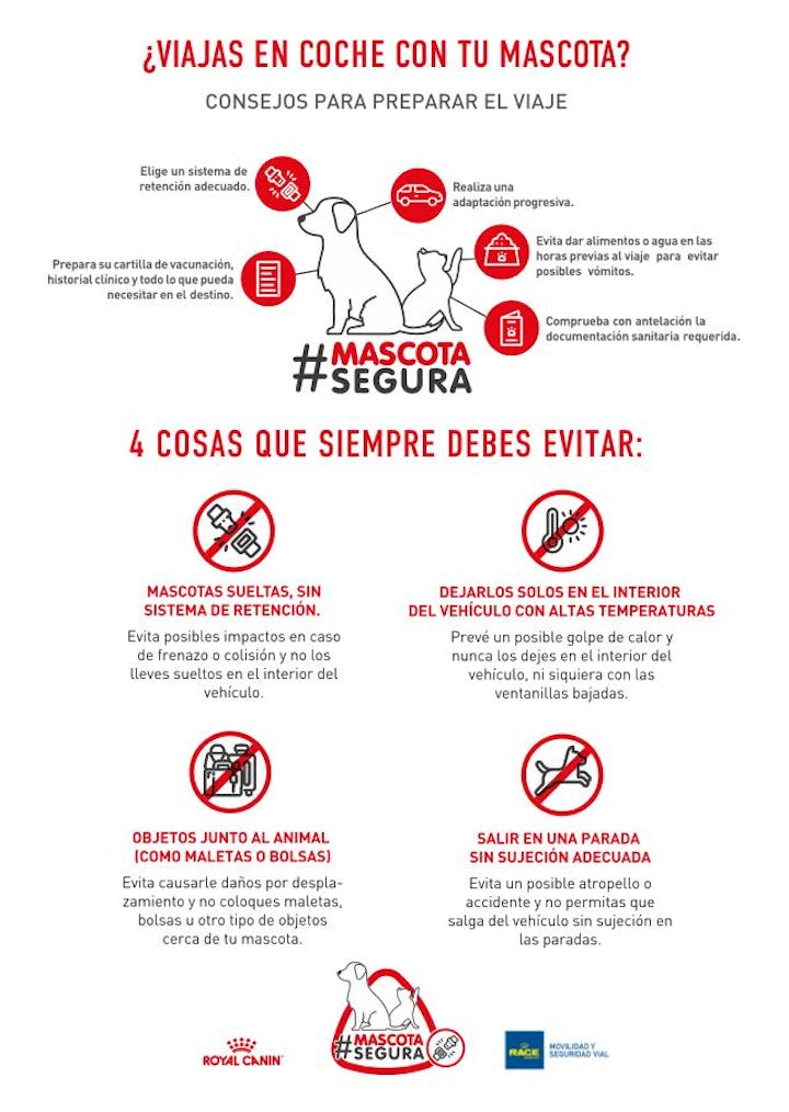 productos que debes evitar al transportar mascotas consejos clave