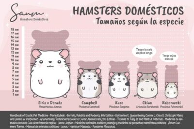 protocolo de alimentacion adecuado para la cria de hamsters