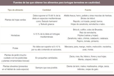 que alimentos ayudan a la adaptacion de una tortuga