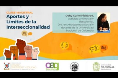 que aportes pueden surgir del activismo interseccional
