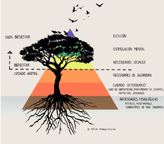 que debo evitar en el enriquecimiento de reptiles