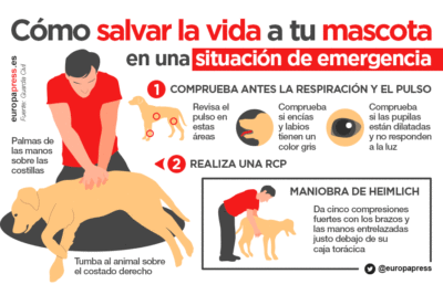 que emergencias requieren atencion veterinaria inmediata